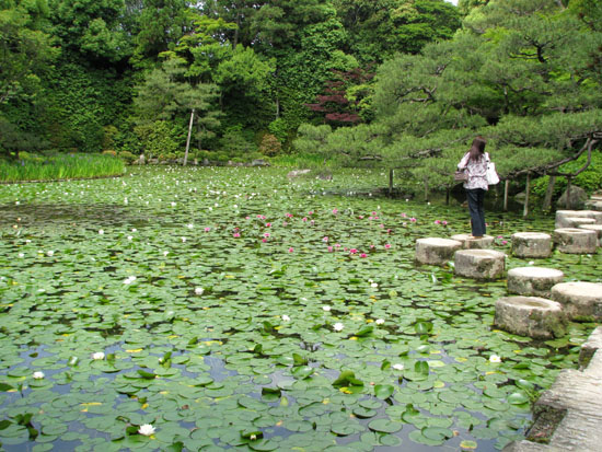 平安神宮 水辺_e0048413_21455796.jpg