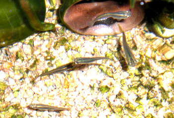 e0125014_857558.jpg