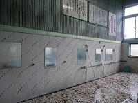 d0086228_9341134.jpg