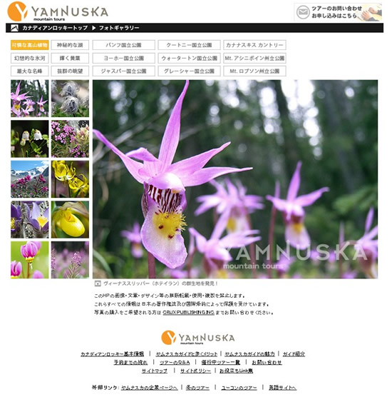 フォトギャラリー完成！！_d0112928_7484954.jpg