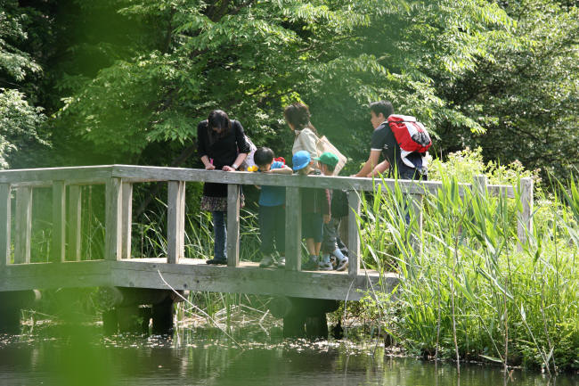 f0017530_2154998.jpg