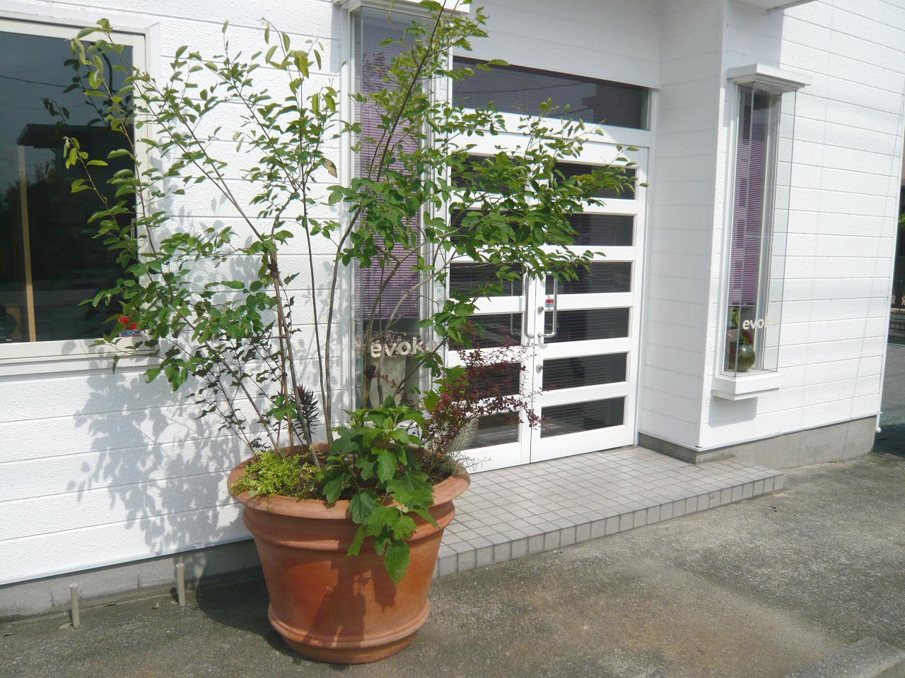 Contena Garden 1年後 Yard Works Blog