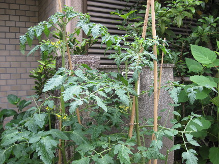 f0068334_13575559.jpg