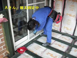 f0031037_21544752.jpg