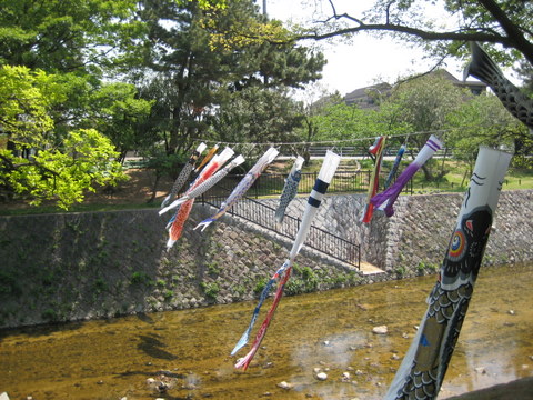 b0168840_20164596.jpg