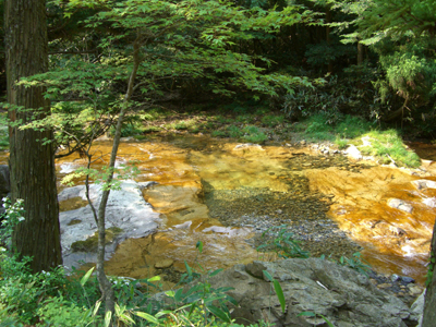 e0110940_20381836.jpg
