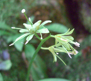 e0110940_20402624.jpg