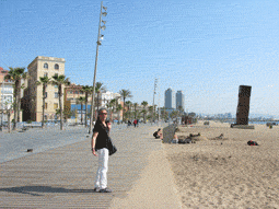 e0034141_1128415.gif