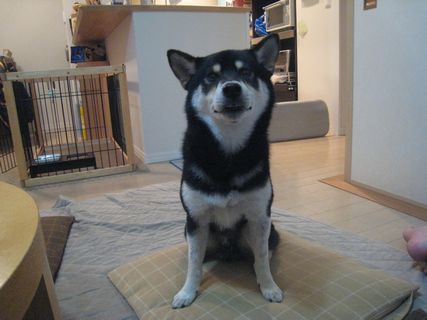 f0058241_22271419.jpg