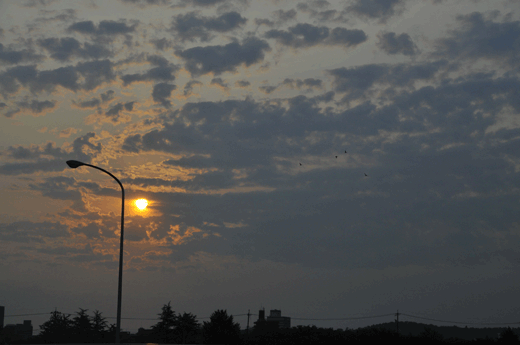 c0093046_1192172.gif