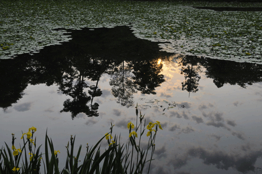 c0093046_119407.gif