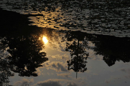 c0093046_1195955.gif