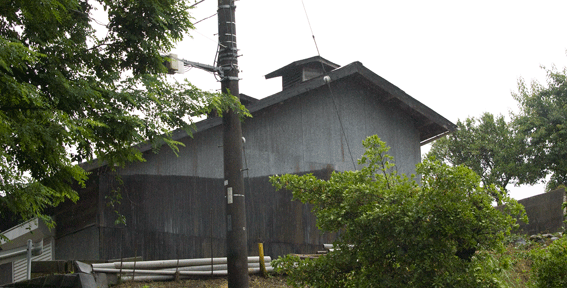 c0042548_1147828.gif