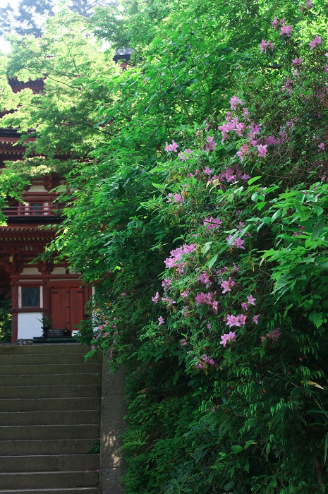南山城の古寺_f0155048_23314175.jpg