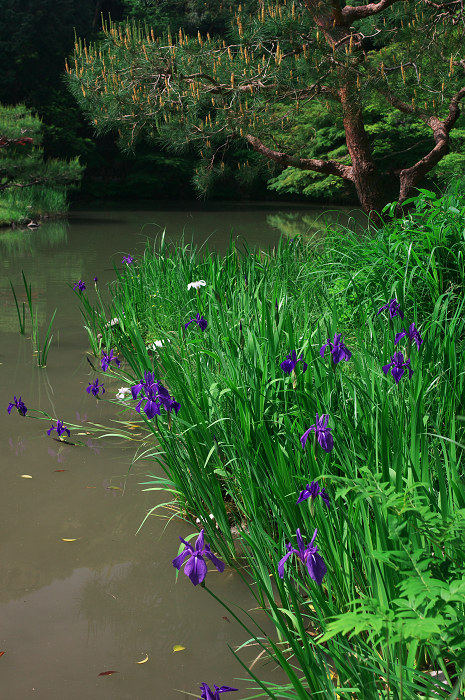 南山城の古寺_f0155048_2332967.jpg