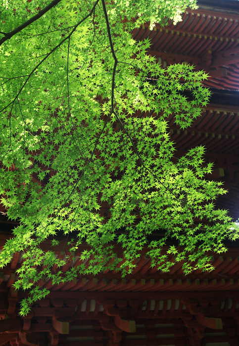 南山城の古寺_f0155048_2333785.jpg