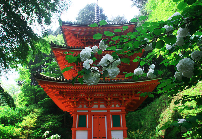 南山城の古寺_f0155048_23343342.jpg