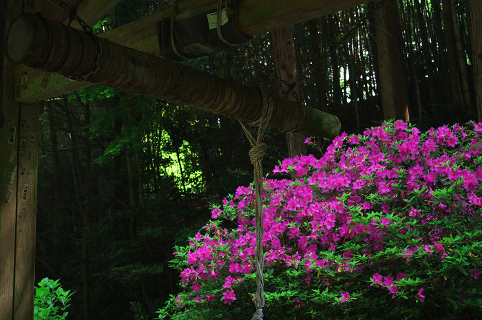 南山城の古寺_f0155048_2336235.jpg