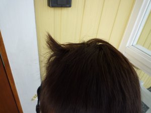 b0132950_96226.jpg