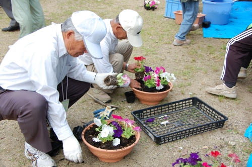 花壇ボランティア交流会　in 　せんなん里海公園_c0108460_21493445.jpg