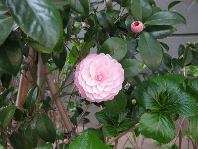 c0190960_7152086.jpg