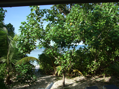 c0128278_2146427.jpg