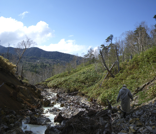 c0152579_1059.jpg