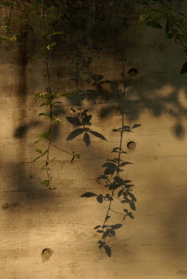 b0163381_2142071.jpg