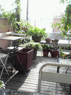 c0180581_19525044.jpg