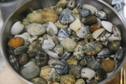 c0009983_15401024.gif