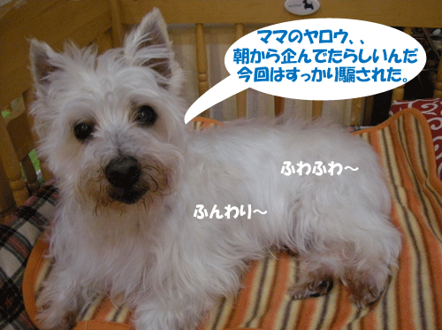 e0066883_20365445.gif