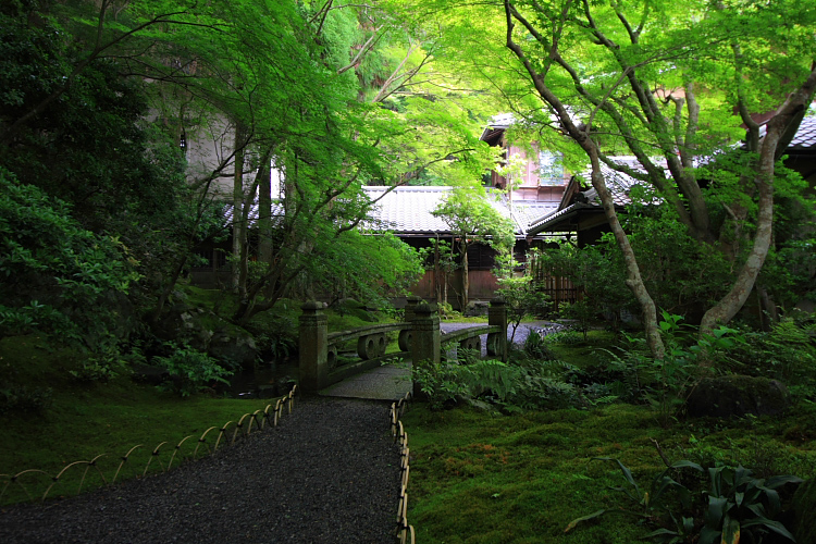 瑠璃光院_e0051888_526485.jpg