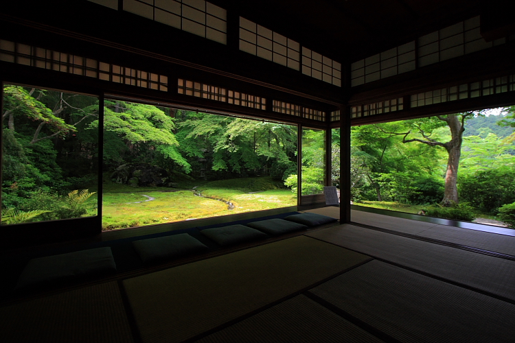 瑠璃光院_e0051888_528370.jpg