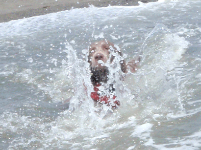 b0132390_2050595.gif