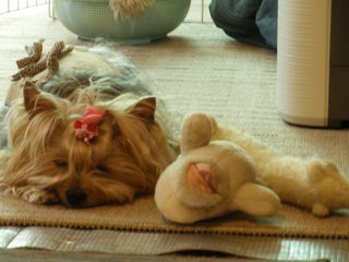 f0130894_20505349.jpg