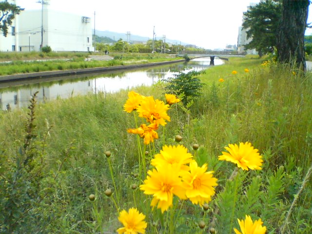 f0077595_8394125.jpg