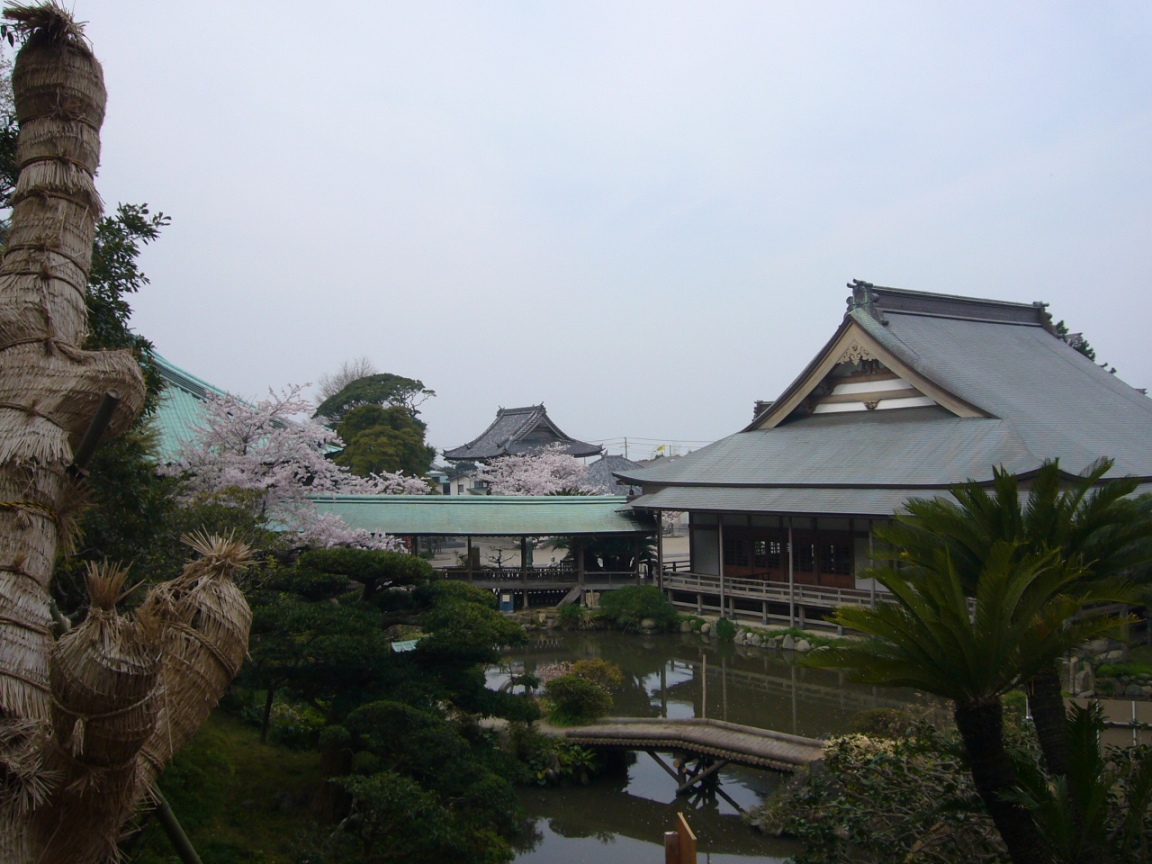 ひさびさの関東社寺支店から・・・・。_f0073301_2024362.jpg