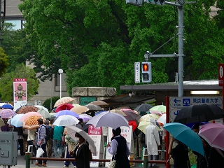 日々徒然－歳時記－雨の庭と上野の賑わい_c0153302_22305420.jpg