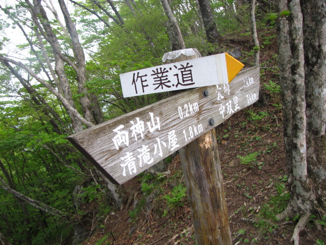 b0116703_2139281.jpg