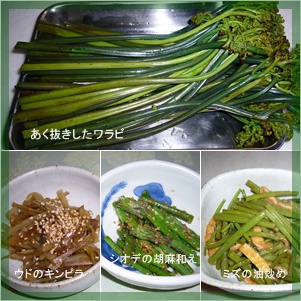 庭の花_c0051105_1055309.jpg