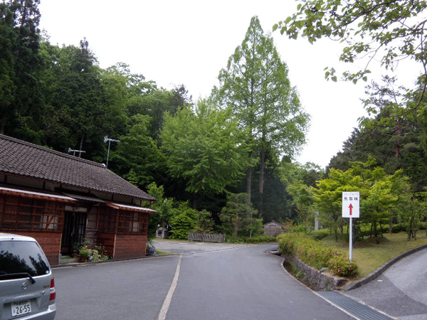 b0159611_20125533.gif