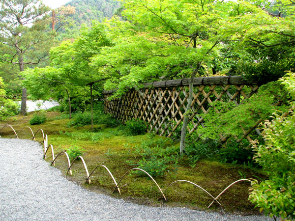 鷹ヶ峰 光悦寺_e0048413_19401479.jpg