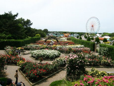 ひたち海浜公園へ_d0010319_1810069.jpg