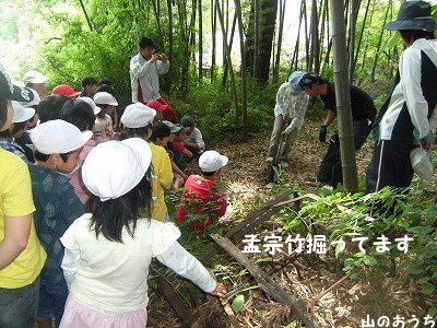 f0085327_20474523.jpg