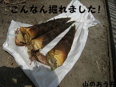 f0085327_20491381.jpg
