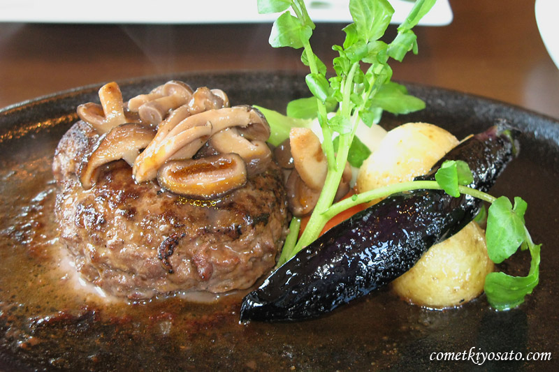 明野の暖炉レストラン_b0179231_1262210.jpg