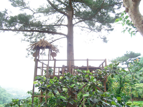 ５月２８日荒れたねぇぇぇぇ（＾＾；）_c0070933_2157486.jpg