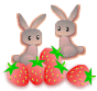 b0187737_22191785.gif