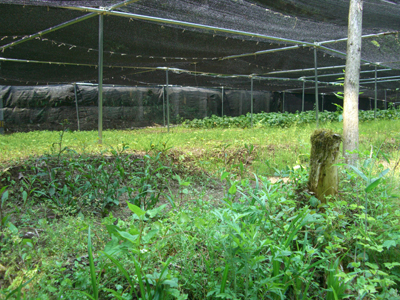 e0110940_21504425.jpg