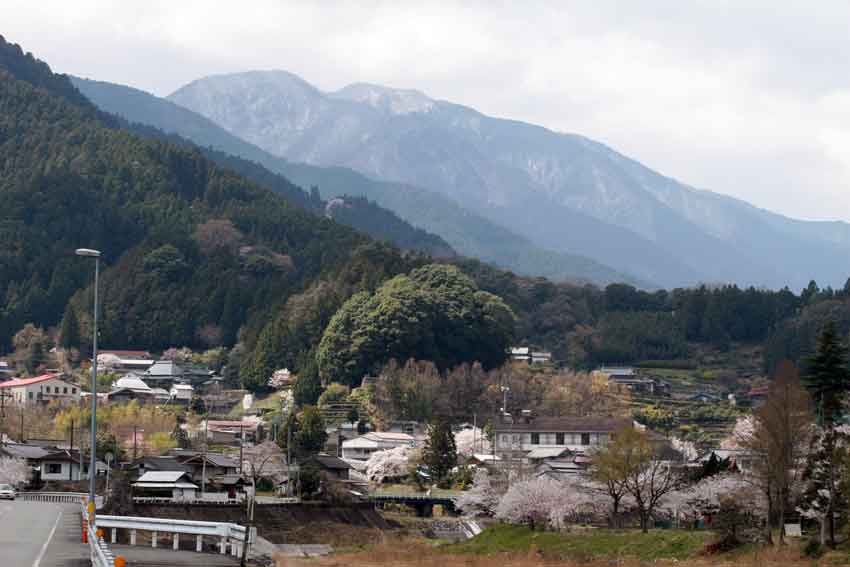 徳島県名西郡神山町「宇佐八幡宮」♪_d0058941_20552294.jpg